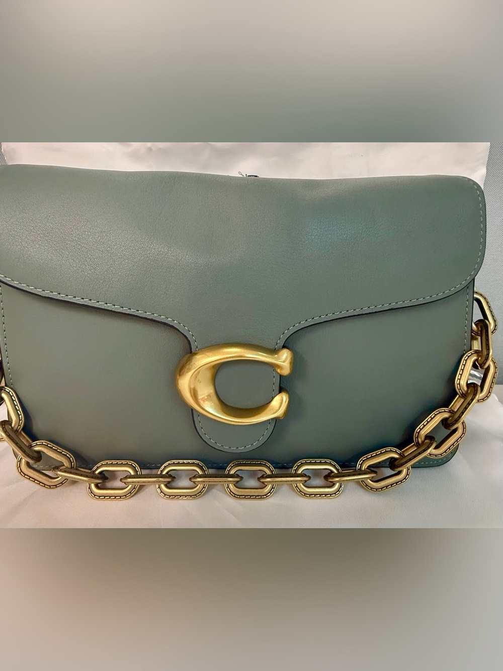 Coach chain Tabby in HTF Sage Gold Hardware and Brown Scarf nwt